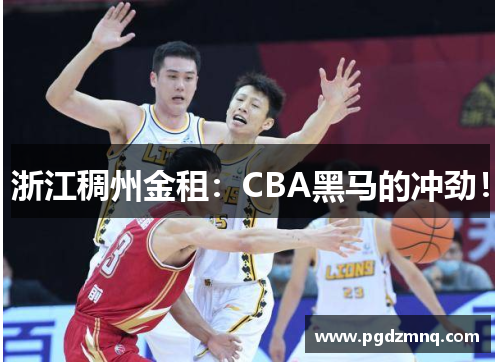 浙江稠州金租：CBA黑马的冲劲！